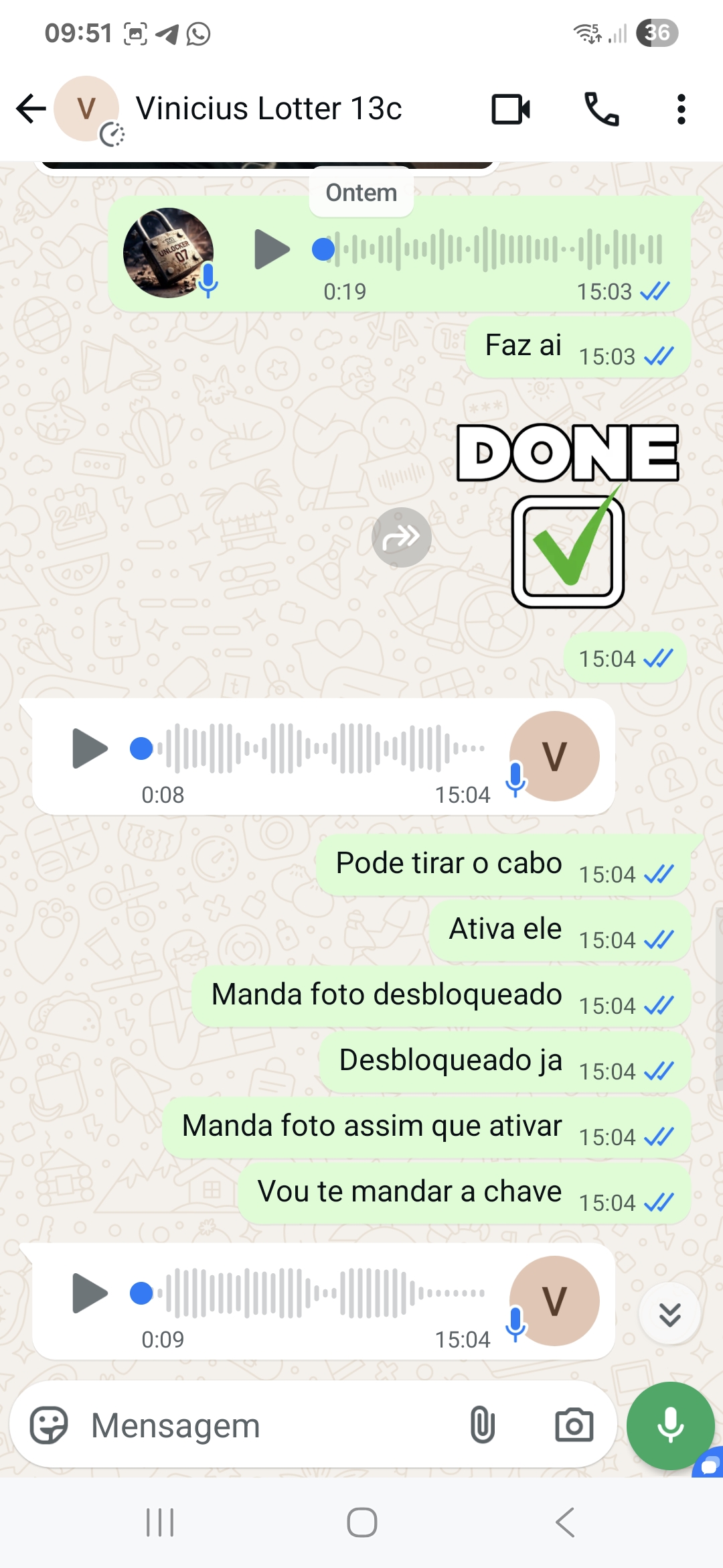 Vinicius Silva Ferreira